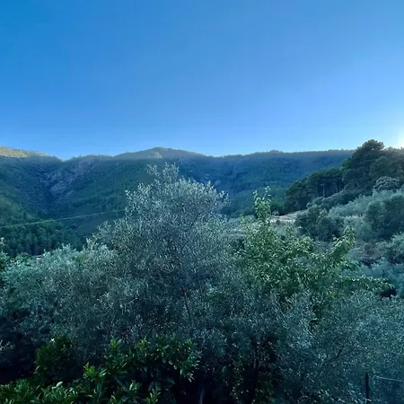 Casa Amparo